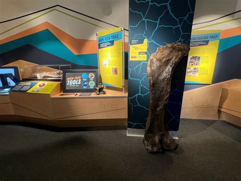 Image result for Destination Dig Art Work