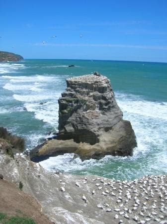 Waimauku Tourism: All You Need to Know Before You Go (2025)