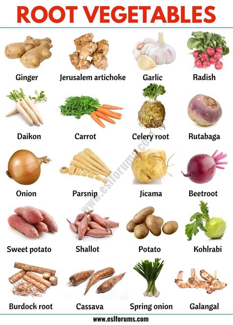 Root Vegetables List