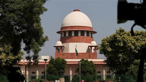 Avoid repeat of Delhi Ridge tree felling: Supreme Court