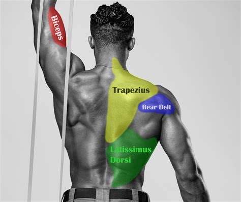 The 6 Best Back Exercises With Resistance Bands - BiqBandTraning.com
