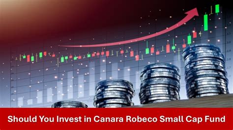Should You Invest in Canara Robeco Small Cap Fund in 2025?
