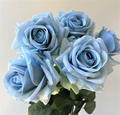 Light Blue Flower Rose