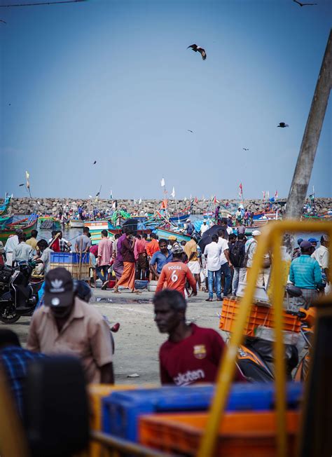 Climate adaptation: Let’s go glocal! - Greenpeace India