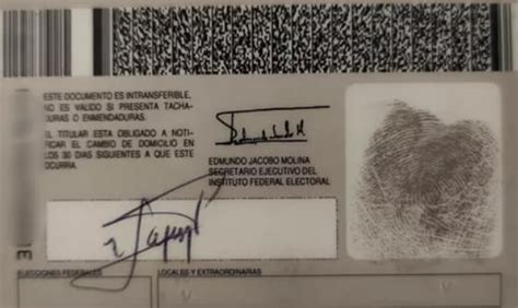 Venden presunta credencial de elector de Chabelo porque ni muerto descansa