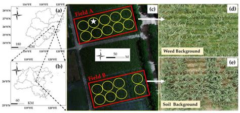 Remote Sensing | Special Issue : Quantitative Remote Sensing and Its ...