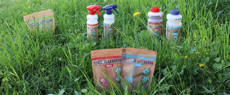 Jetzt noch handlicher: ECOLUTION STICKS in neuer Verpackung | DR ...