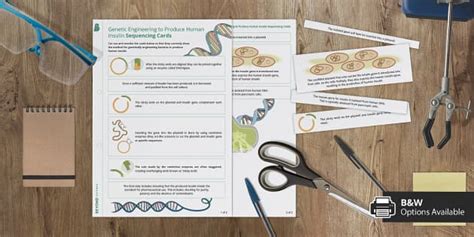 Genetic Engineering to Produce Human Insulin Sequencing Cards