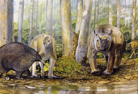 New evidence challenges claim Australia’s First Peoples hunted megafauna to extinction ...