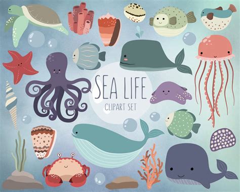 Sea Life Clipart 25 Cute Ocean Animals Clip Art Set Quality Vector, PNG ...