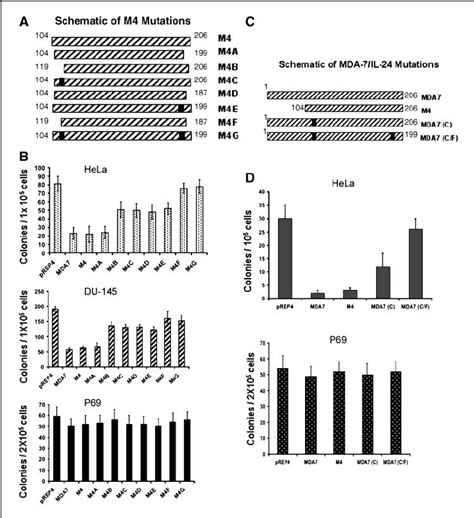 Image result for Mda Helix Array