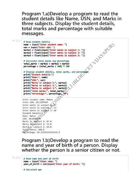 Image result for Python Coding First SYEP