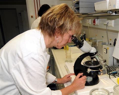 Dänemark: 88 Prozent der Schweine tragen MRSA-Keime | agrarheute.com