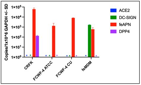 Serotype I and II Feline Coronavirus Replication and Gene Expression ...