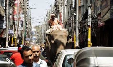Raghunath Market, sawantwadi, India - Top Attractions, Things to Do ...