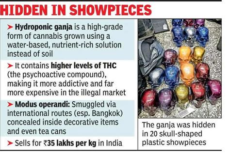 ‘Hydroponic’ ganja worth 3.5 cr seized at airport