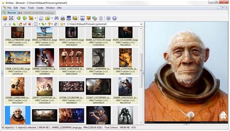 Image result for XnView Alternatives