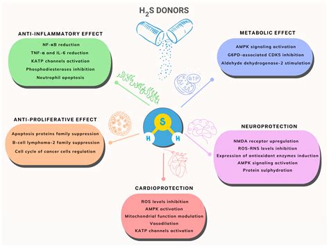 Pills of Multi-Target H2S Donating Molecules for Complex Diseases