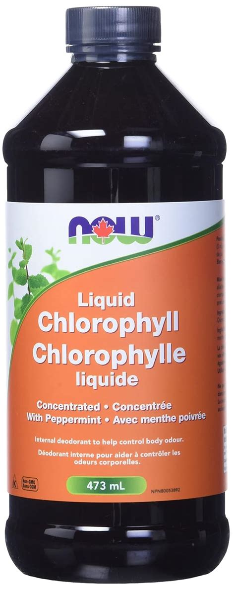 Now Foods Chlorophyll Liquid + Mint 473Ml : Amazon.in: Health ...