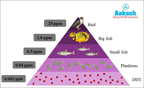 Water Pollutants: Definition, Types, Sources, Effects, Practice ...