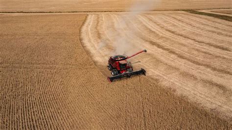 US yachts, coffee and soybeans - what's on the EU's tariff hitlist today?