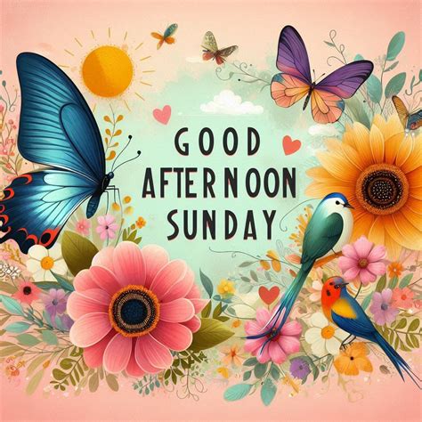123+ Good Afternoon Sunday Images, Pictures, Photos & Pics