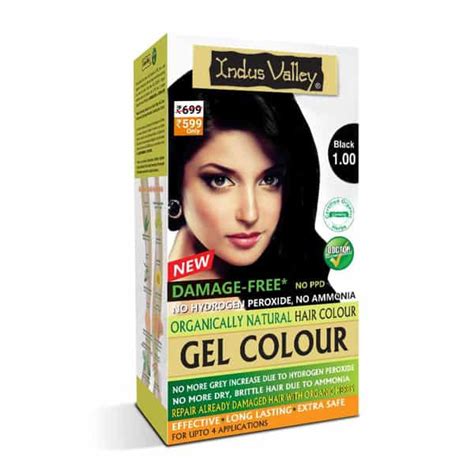 Buy INDUS VALLEY ORGANICALLY NATURAL DAMAGE FREE GEL HAIR COLOR-BLACK ...