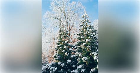 Kravanya Funeral Home Gillespie, Illinois (IL) | Who Passed On