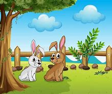 Image result for 5 Things About Bunnies