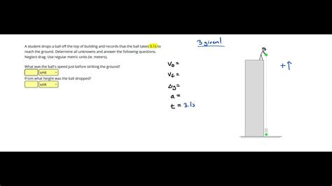 Image result for Free Fall Problems Physics