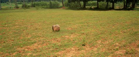 Archaeological Survey of India