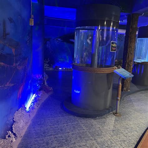 LABUAN MARINE MUSEUM - All You Need to Know BEFORE You Go 2026 (with ...