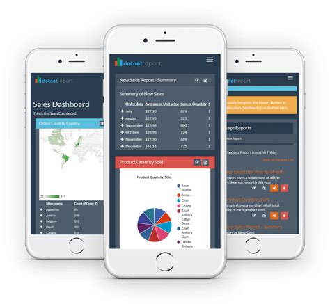 ASP.NET Report Maker 的图像结果