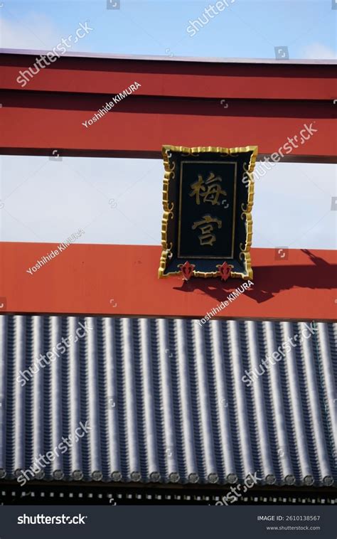 Free Uncensored Sayaka Umemiya Videos