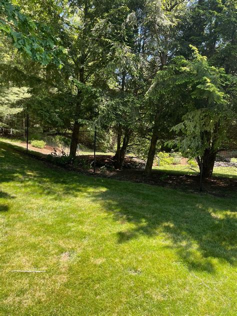 Large Yard Fence 的图像结果