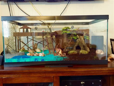 How To Make A Crab Habitat at Bridget Pardo blog