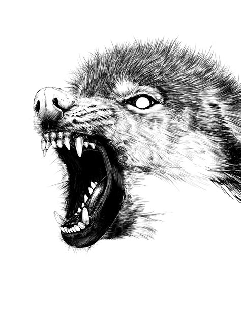 狼与月亮背景图片免费下载-千库网
