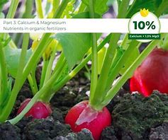 Image result for Organic Calcium Magnesium for Plants