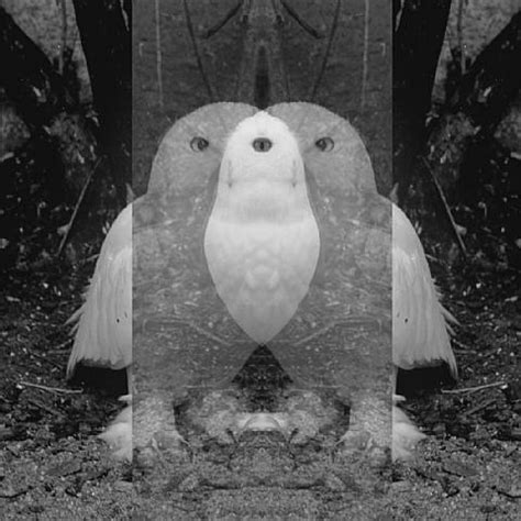 Image result for Video Editing Layers