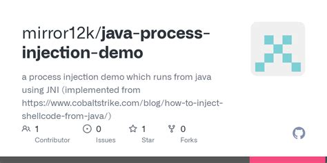 Injection in Java 的图像结果