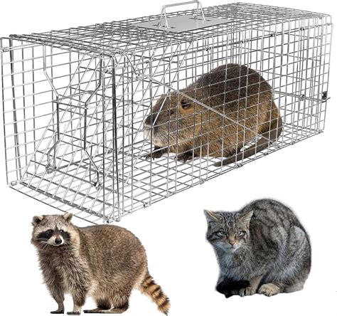 Rabbit Traps Catch And Release Live Animal Trap For Skunks, Opossums ...