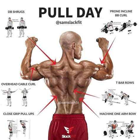 PULL DAY ⠀⠀⠀⠀⠀⠀⠀⠀ For me I like to do a variation of a pull up or lat pulldown at the start of ...
