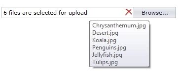 Image result for Display the Files File Upload Control Asp.net Web Forms