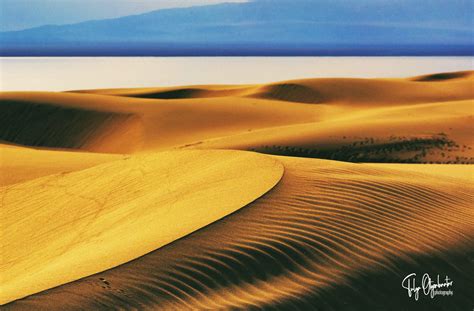 Mongolian Gobi desert facts - Travel Mongolia | Nomadic Trails