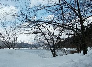 雪景色 | 常哲のブログ