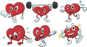 Wallzone Happy Gym Small Vinyl Wallsticker (60 cm x 30 cm) Price in ...