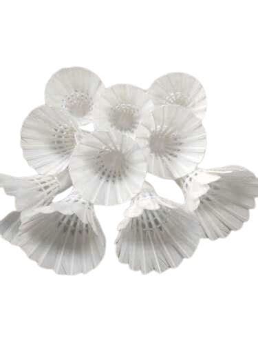 Shuttle Cock Feather Texture 的图像结果