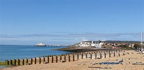 NUMBER NINETY ONE (Eastbourne) - B&B Reviews, Photos, Rate Comparison ...