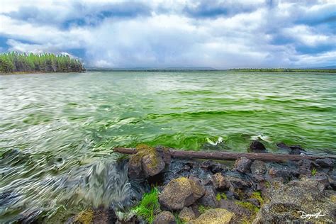 “Crane Prairie Reservoir”