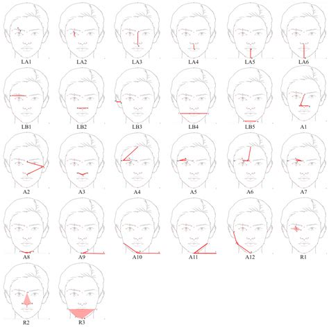 Exploring the Correlation Between Gaze Patterns and Facial Geometric ...